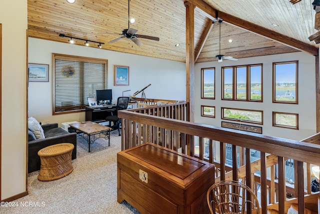 interior space with beamed ceiling, a wealth of natural light, track lighting, and wood ceiling