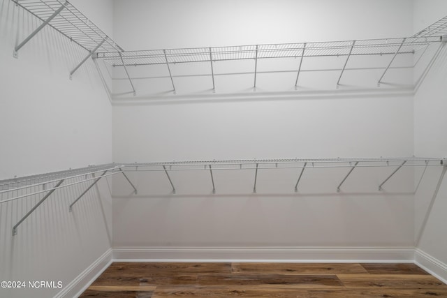 spacious closet featuring wood finished floors