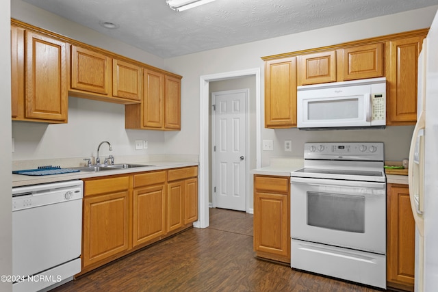 kitchen featuring sink, white appliances, a textured ceiling, and dark hardwood / wood-style floors