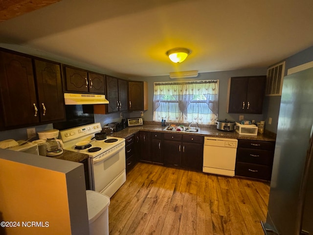 kitchen with dark brown cabinetry, light hardwood / wood-style flooring, sink, and white appliances