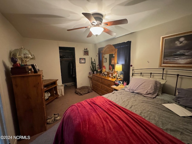 bedroom with carpet, a spacious closet, ceiling fan, and a closet