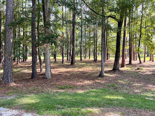 109 Hidden Harbor Ln Unit 3, Beaufort NC, 28516 land for sale