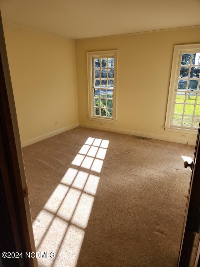 carpeted empty room featuring a wealth of natural light