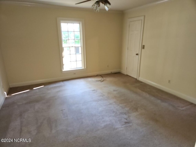 carpeted spare room featuring crown molding and ceiling fan