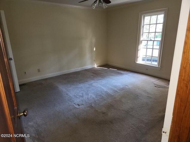 spare room with carpet floors, crown molding, and ceiling fan