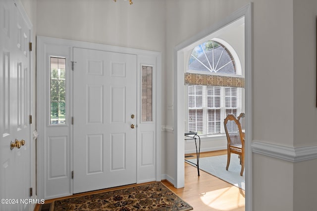 foyer featuring wood-type flooring