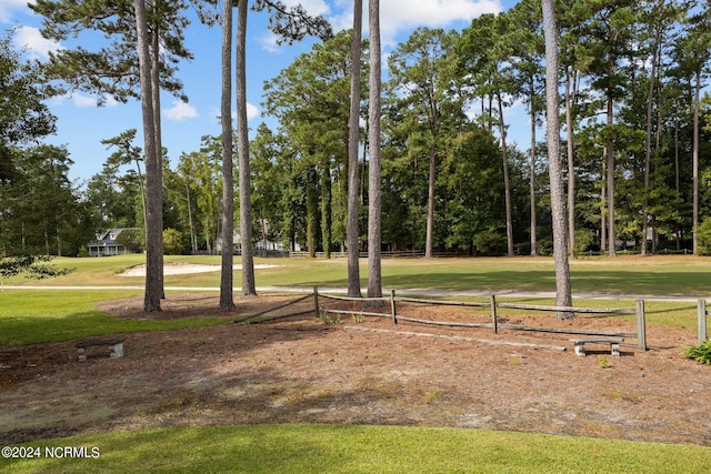 view of home's community with a yard