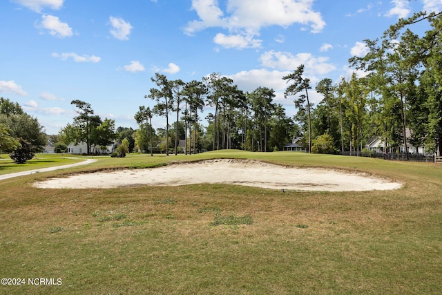 view of community featuring a lawn