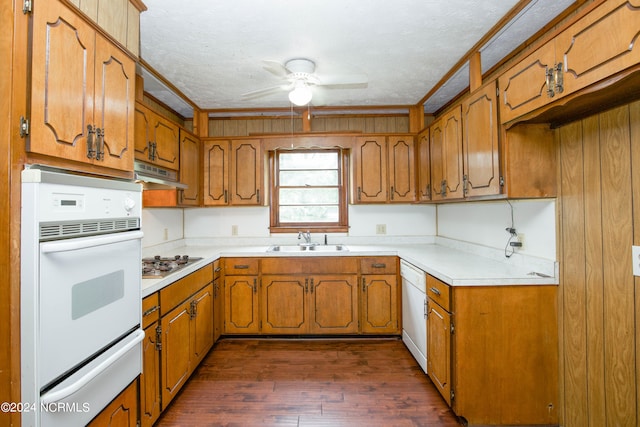 kitchen with a textured ceiling, dark hardwood / wood-style flooring, stainless steel gas stovetop, sink, and ceiling fan