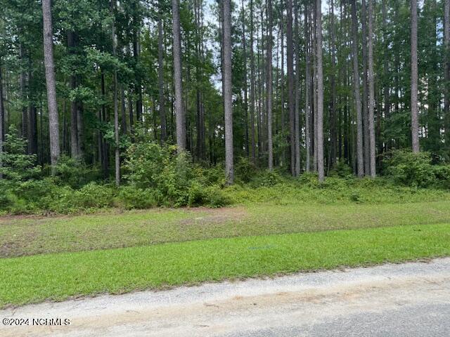 339 Port Dr Unit 8, Oriental NC, 28571 land for sale