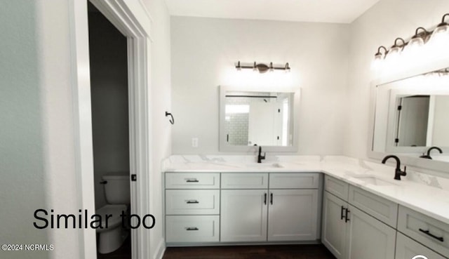 bathroom featuring toilet, double vanity, and a sink