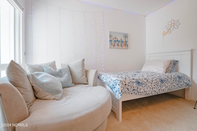 bedroom featuring carpet