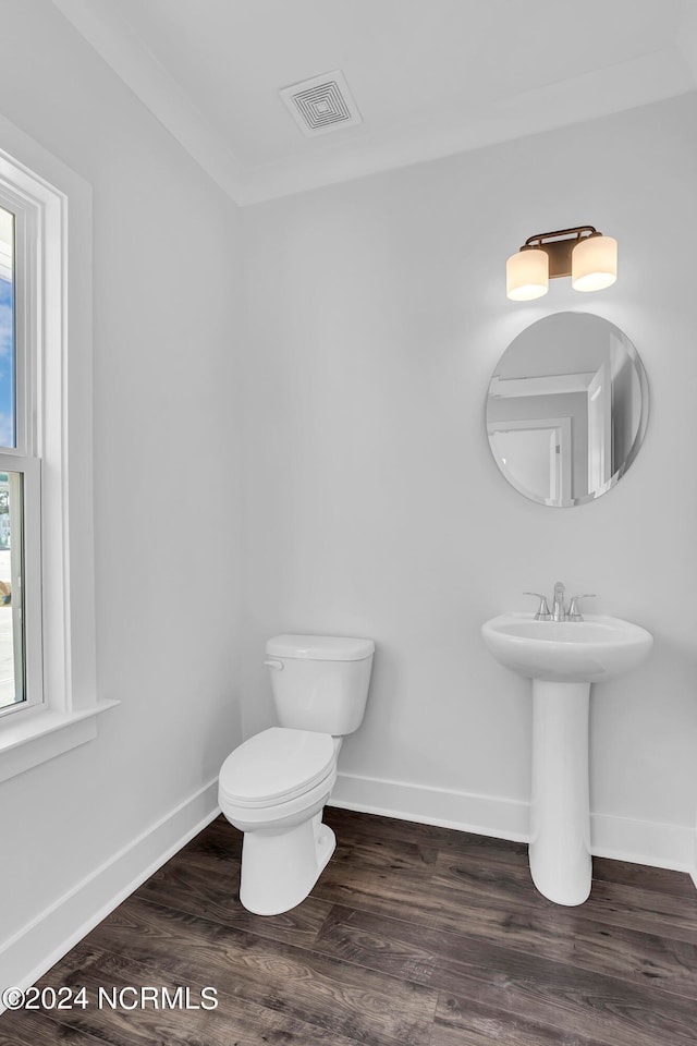 bathroom with a wealth of natural light, toilet, sink, and hardwood / wood-style floors