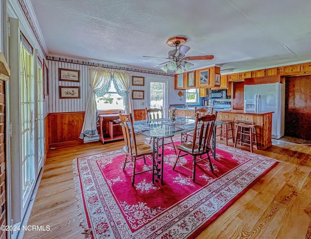 dining space featuring light wood-style floors, ornamental molding, wood walls, a textured ceiling, and ceiling fan