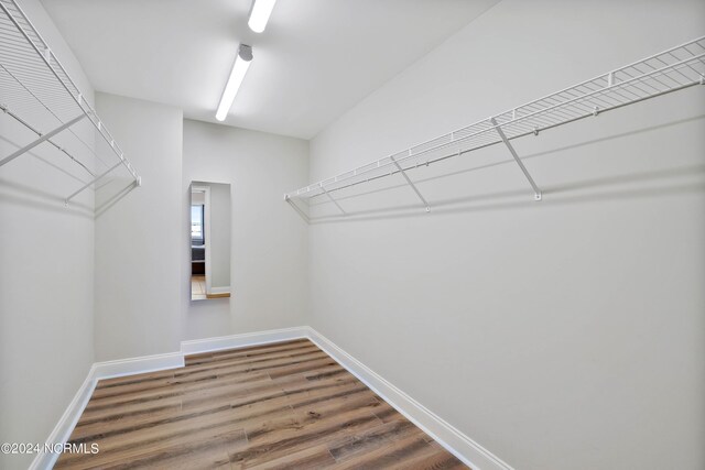 spacious closet featuring wood finished floors