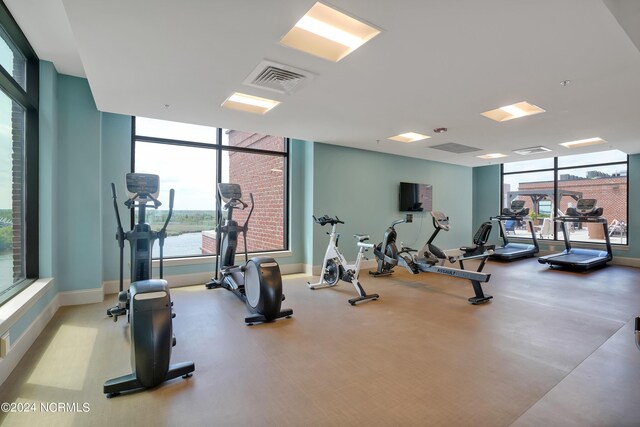 gym featuring baseboards, visible vents, a wealth of natural light, and expansive windows