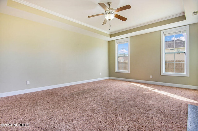 carpeted empty room featuring ornamental molding and a tray ceiling