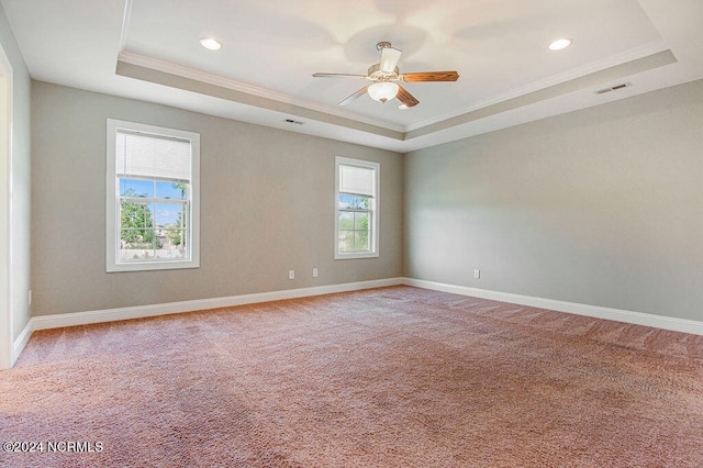 spare room featuring carpet, a tray ceiling, and a healthy amount of sunlight