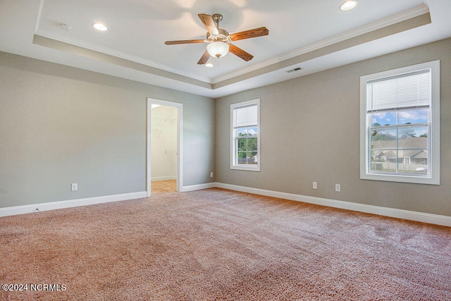 spare room with crown molding, light colored carpet, and a raised ceiling