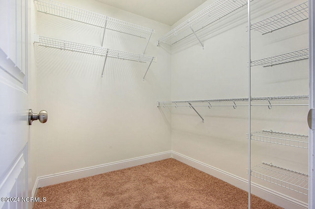 walk in closet featuring carpet