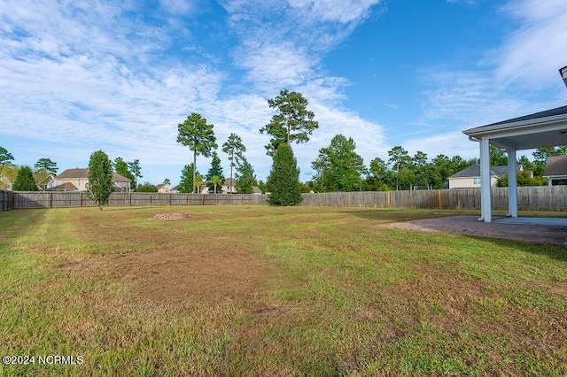 view of yard featuring a patio area