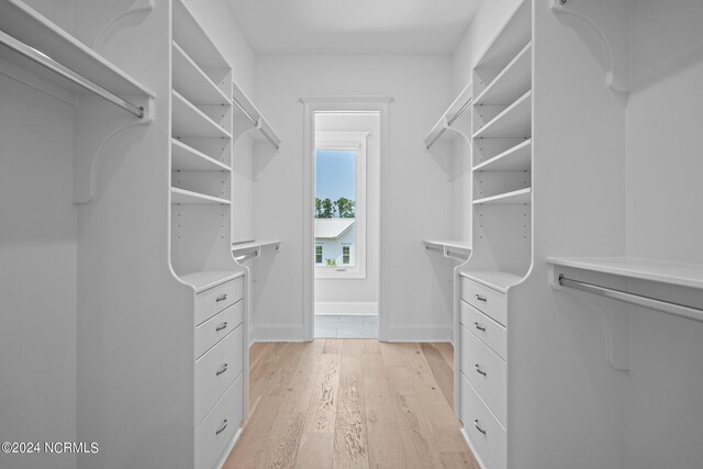 spacious closet featuring light wood-type flooring