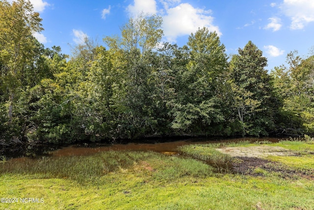 view of local wilderness