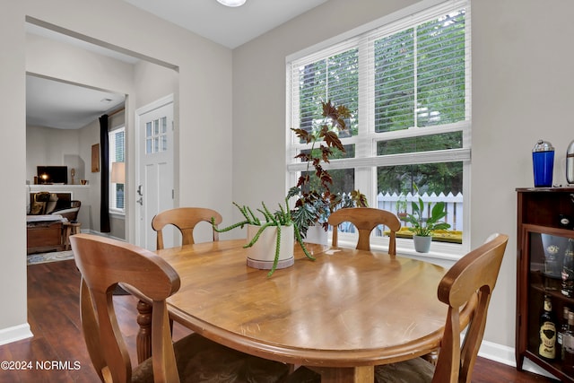 dining area featuring dark hardwood / wood-style flooring