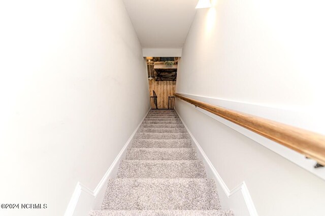 stairs featuring carpet