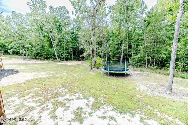 view of yard with a trampoline