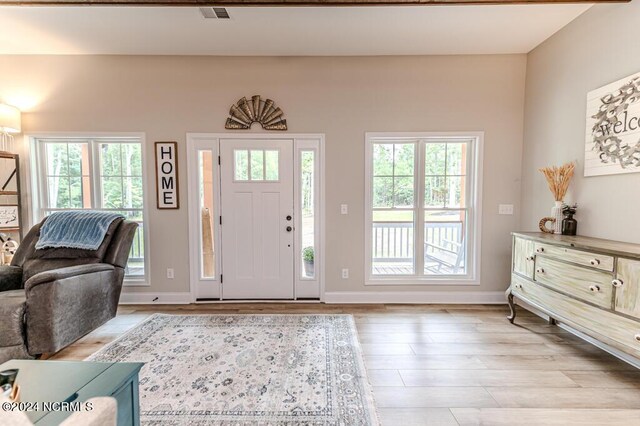 foyer entrance with light hardwood / wood-style floors and plenty of natural light