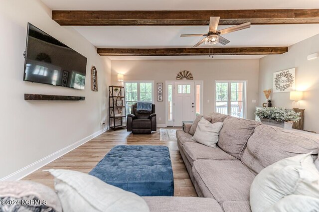 living room featuring light hardwood / wood-style flooring, beamed ceiling, and ceiling fan