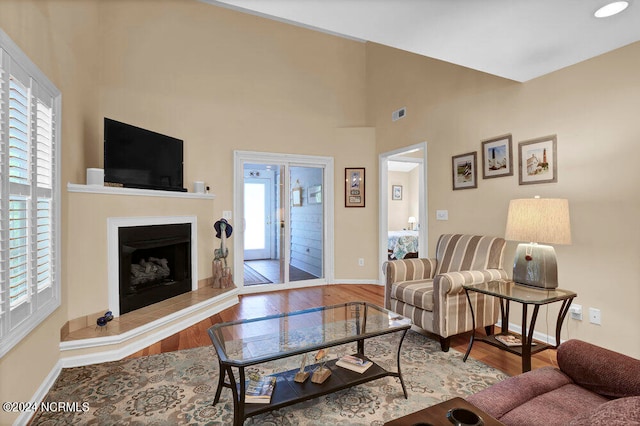 living room featuring wood-type flooring