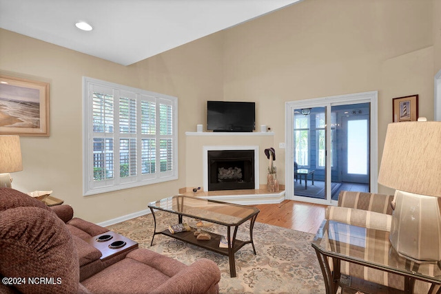 living room featuring a healthy amount of sunlight and hardwood / wood-style floors