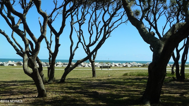 view of property's community with a lawn and a water view