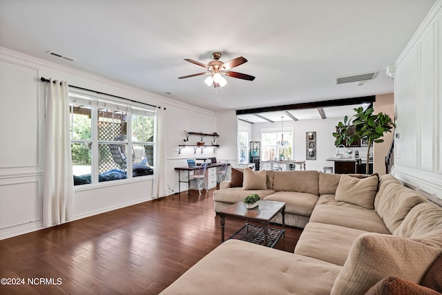 living room featuring ceiling fan, dark hardwood / wood-style floors, and beamed ceiling