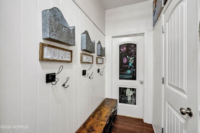 mudroom featuring dark hardwood / wood-style flooring