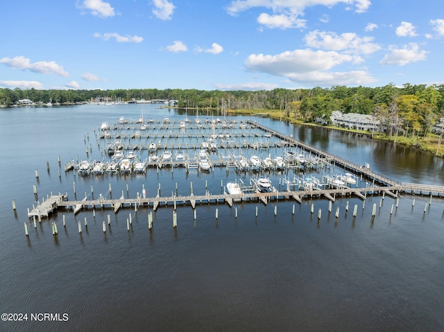 water view featuring a dock