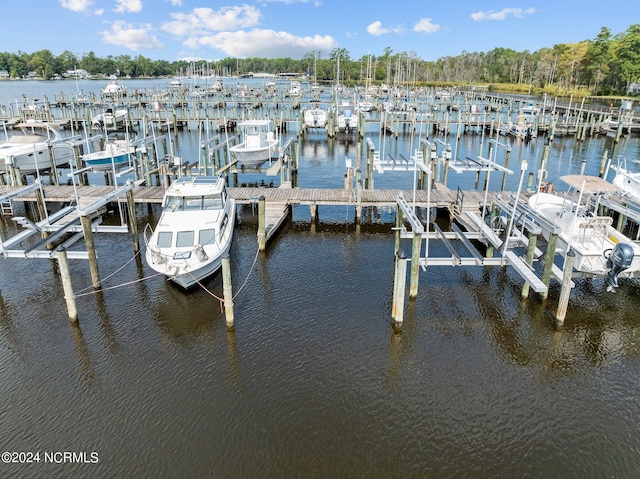 view of dock with a water view