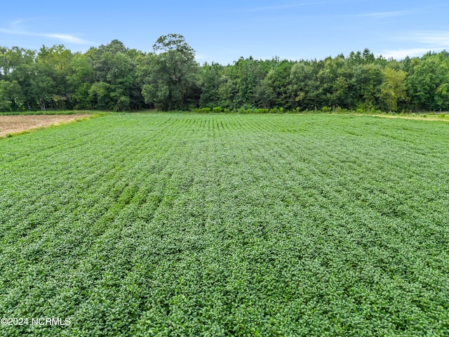 view of yard featuring a rural view