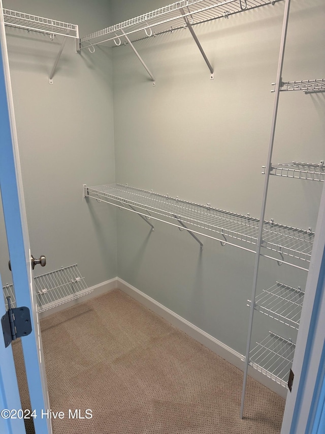 spacious closet with carpet flooring