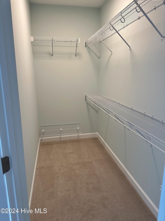 spacious closet featuring carpet floors