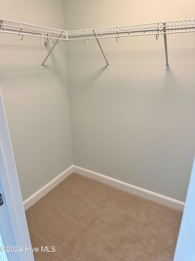 spacious closet featuring carpet floors