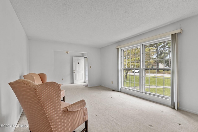 living area featuring carpet and a textured ceiling