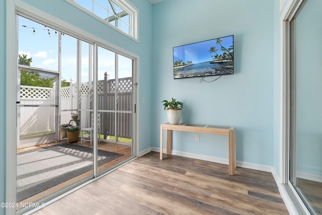 entryway with hardwood / wood-style flooring