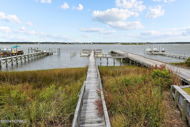 dock area with a water view