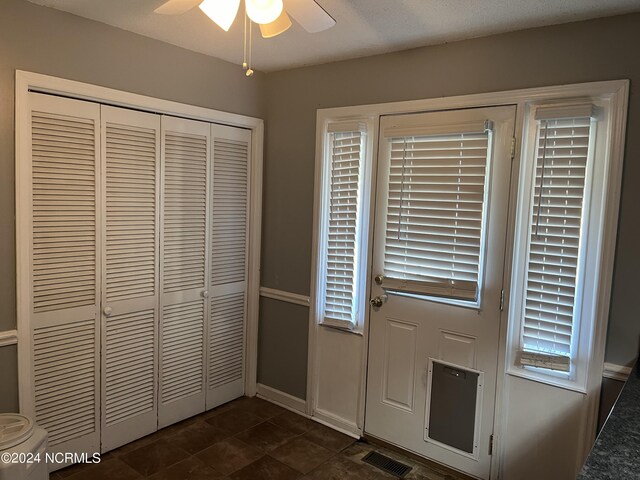 entryway with a wealth of natural light and ceiling fan