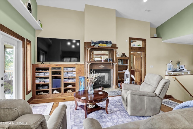 living area featuring a fireplace with raised hearth and wood finished floors