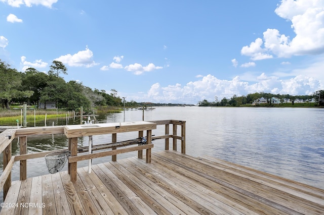 dock area with a water view