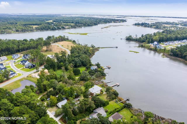 bird's eye view with a wooded view and a water view